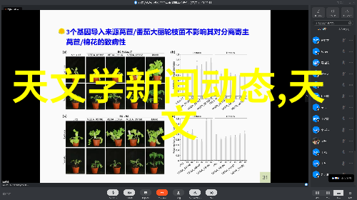 安吉尔引领全屋净水新趋势厨房清新泉源打造品质生活解决方案