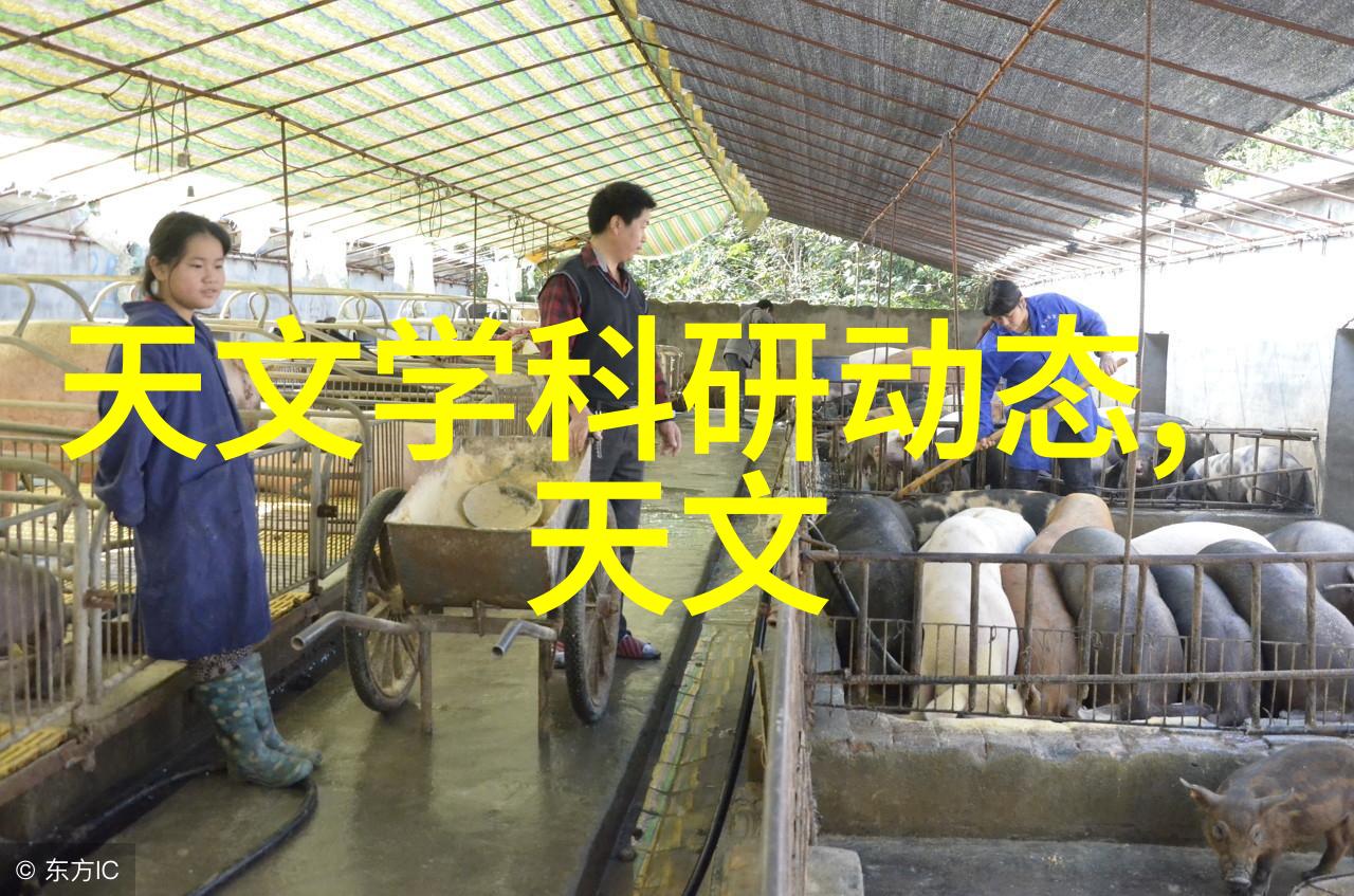 外墙漏水解决方案防水材料选择建筑设计问题维修保养技巧