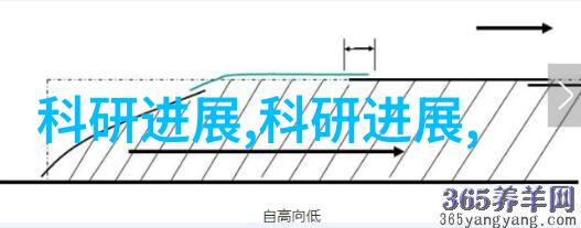 打造舒适宜人的生活空间新中式家庭室内布局指南