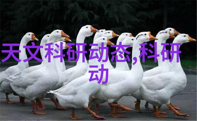 我电话机器人的烦恼和乐趣