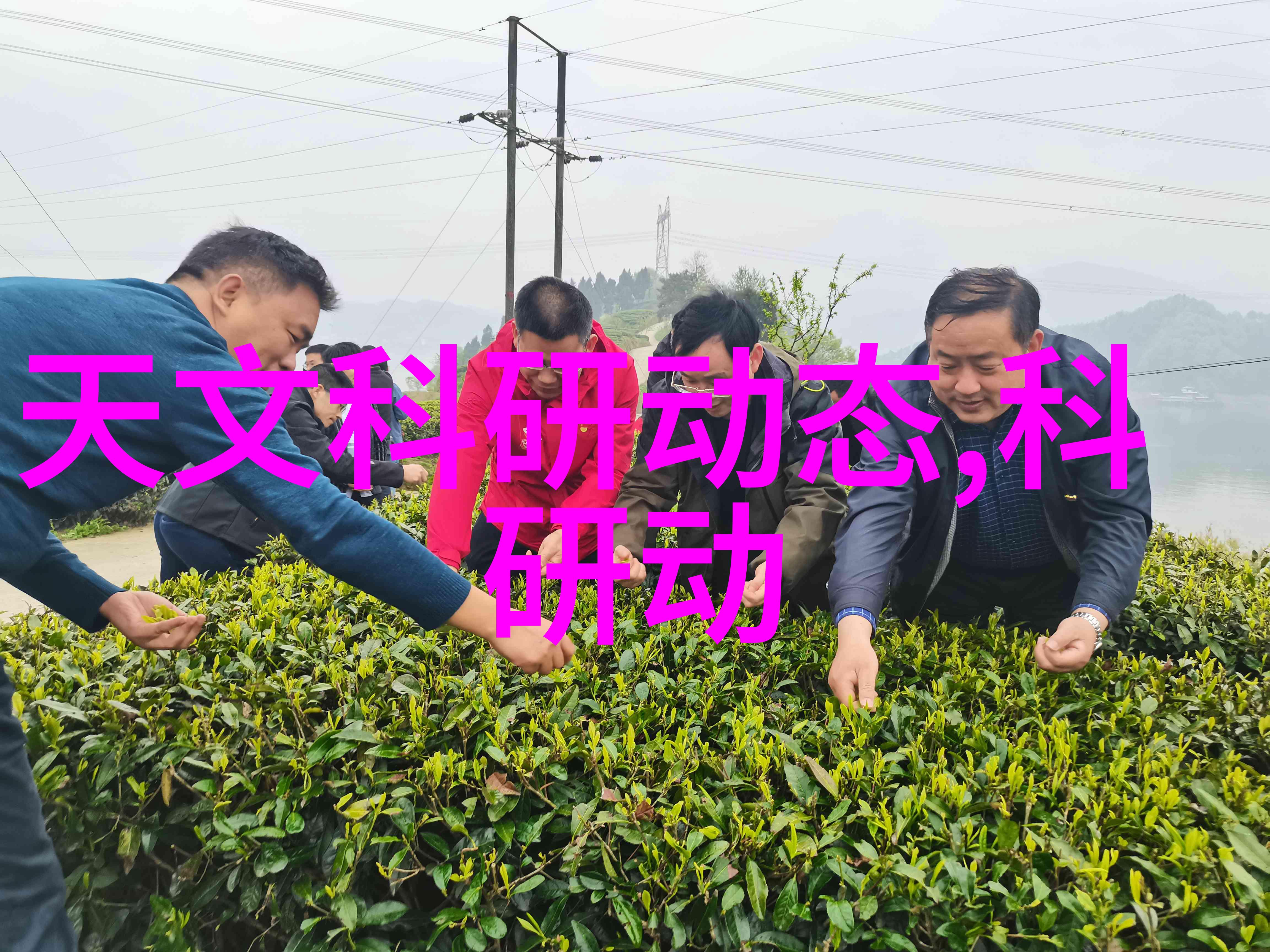 现代别墅装修设计公司的创新策略与市场趋势分析