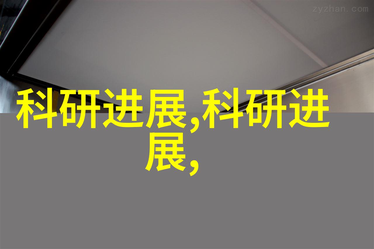 文献综述与理论框架构建为实践提供坚实基础