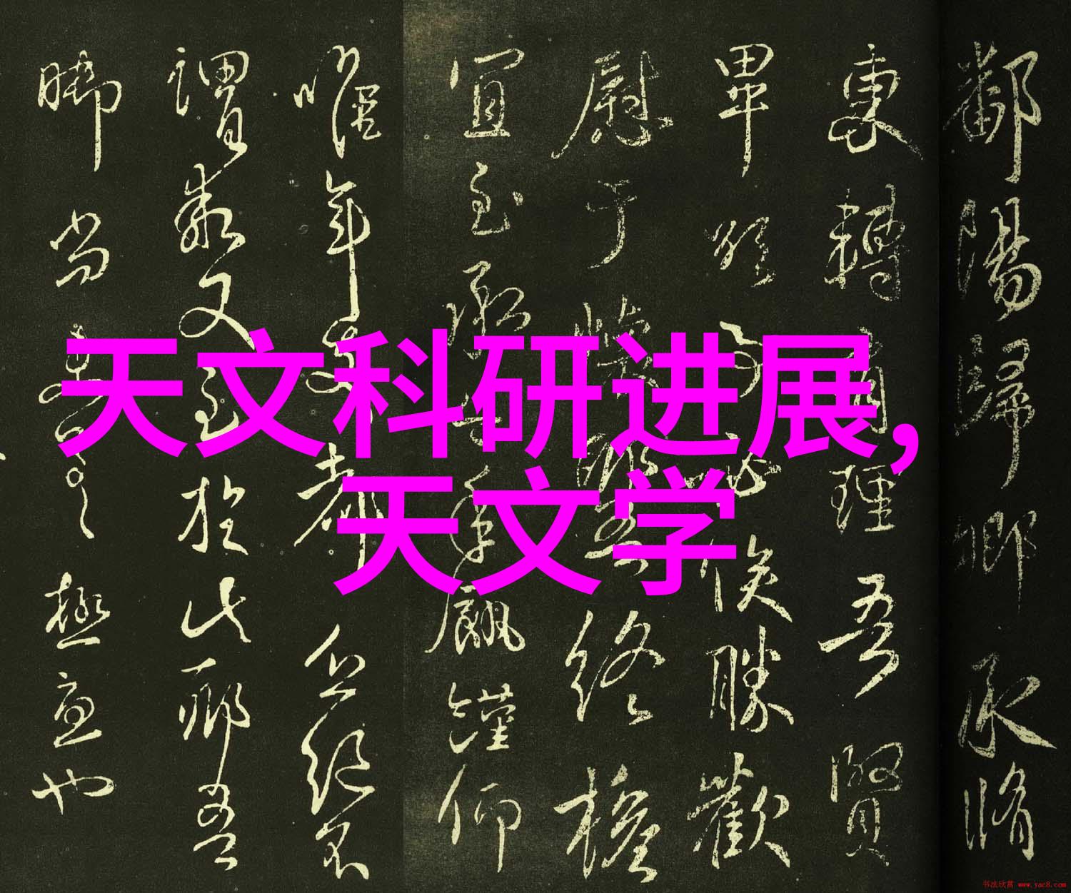 镜头下的韵律探索47幅最具人文艺术摄影作品