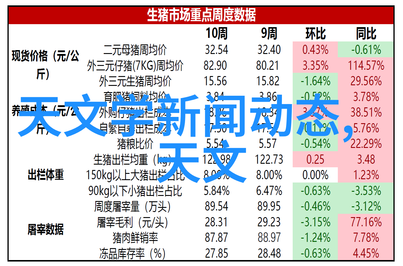 摄影师作品图片我眼中的世界每一帧都是生活的精华