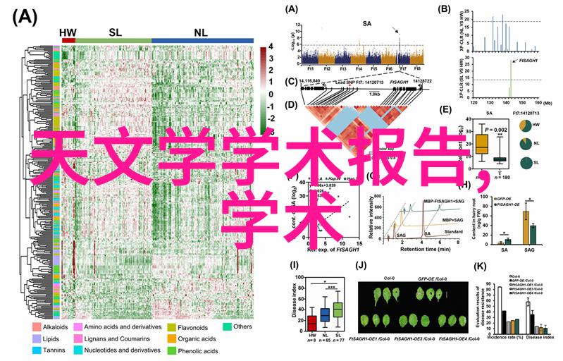 食用菌最先进装袋机我是如何与智能装袋君共舞的