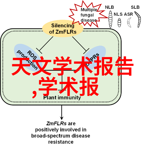 住宅室内装饰装修管理办法完善居住品质的关键