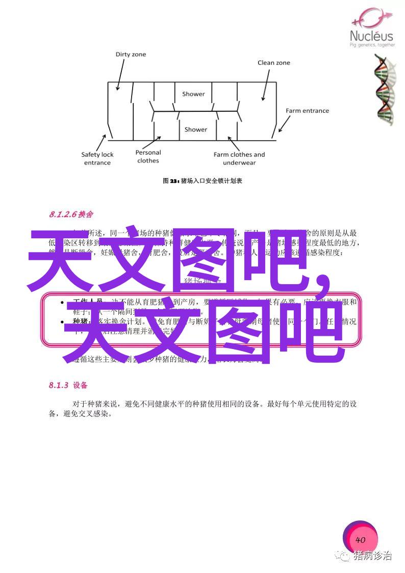 2平米小厕所装修 - 巧妙空间利用如何在狭小环境中打造舒适的洗手间