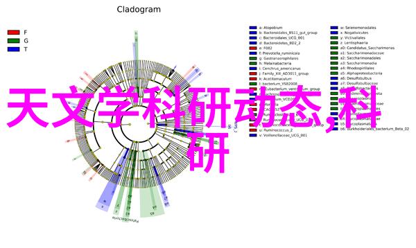 人良土兀摄影作品自然风光的独特捕捉