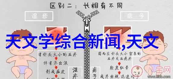 财经政法学府的教务智囊团幕后策划者们的故事