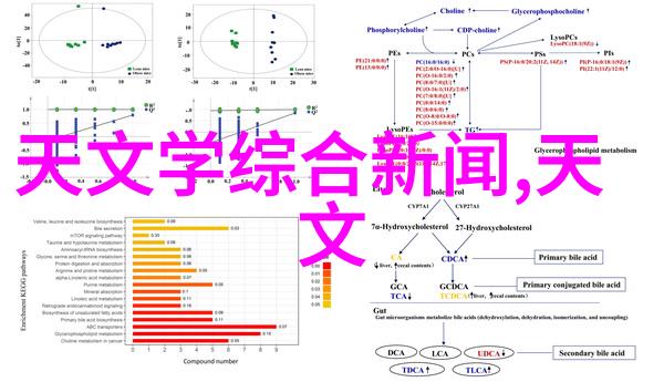 蓝色妖姬的花语深意解析蓝色妖姬代表的文化象征与情感内涵