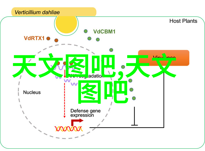 温馨食尚饭盒中的微波奇遇