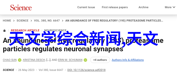 探索智慧多面八大智能测试量表解析