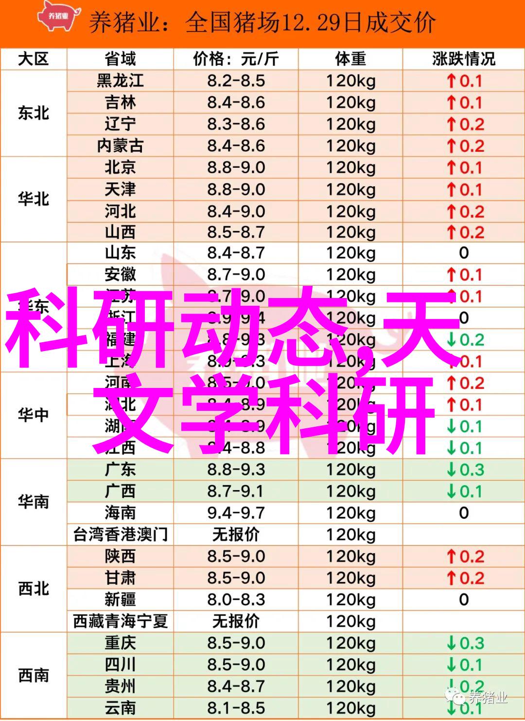 约拍我是怎么在微博上一夜之间变成模特哥