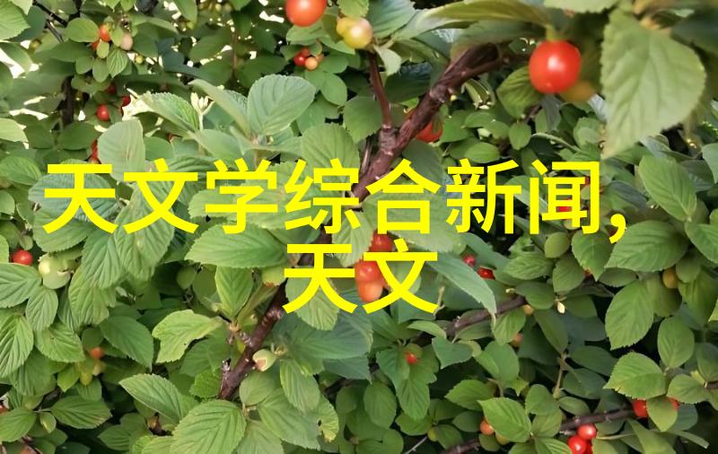 南京财经大学-探索211工程背后的学术辉煌南京财经大学的成就与影响