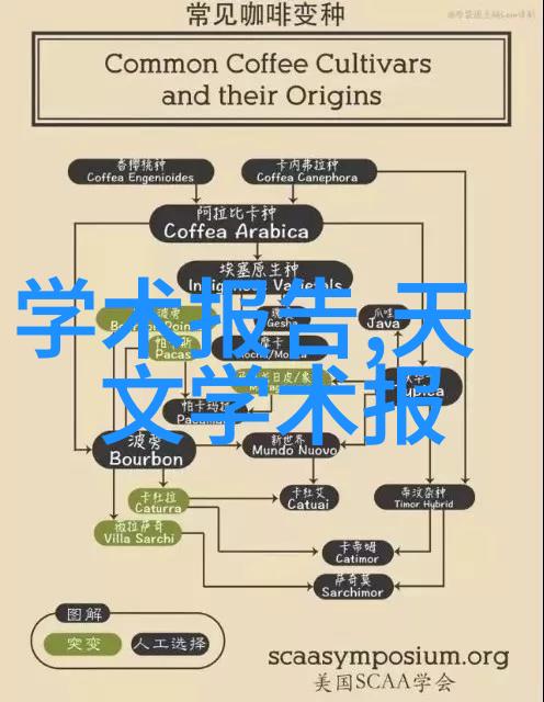 摄影基础技巧入门指南学习拍照的艺术