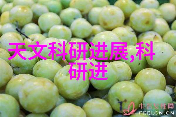 外墙装饰砖工程的精妙技艺施工指南与验收标准