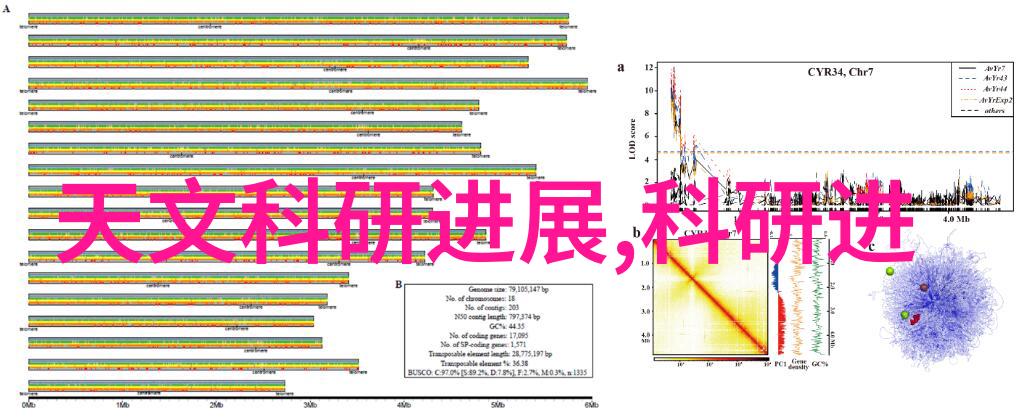 佳能即将宣布研发EOS R3相机探索摄影艺术的新篇章