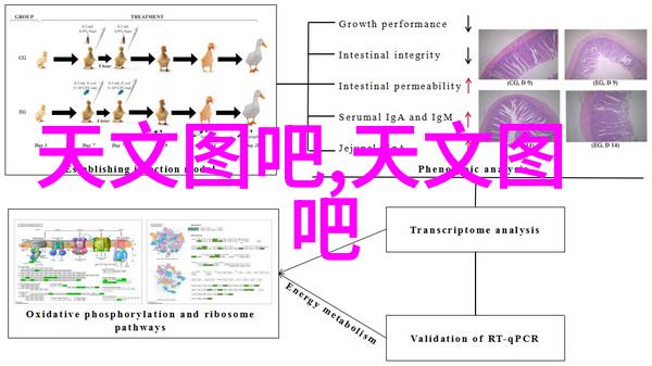 十世待君安情深缘分难求的传奇爱情