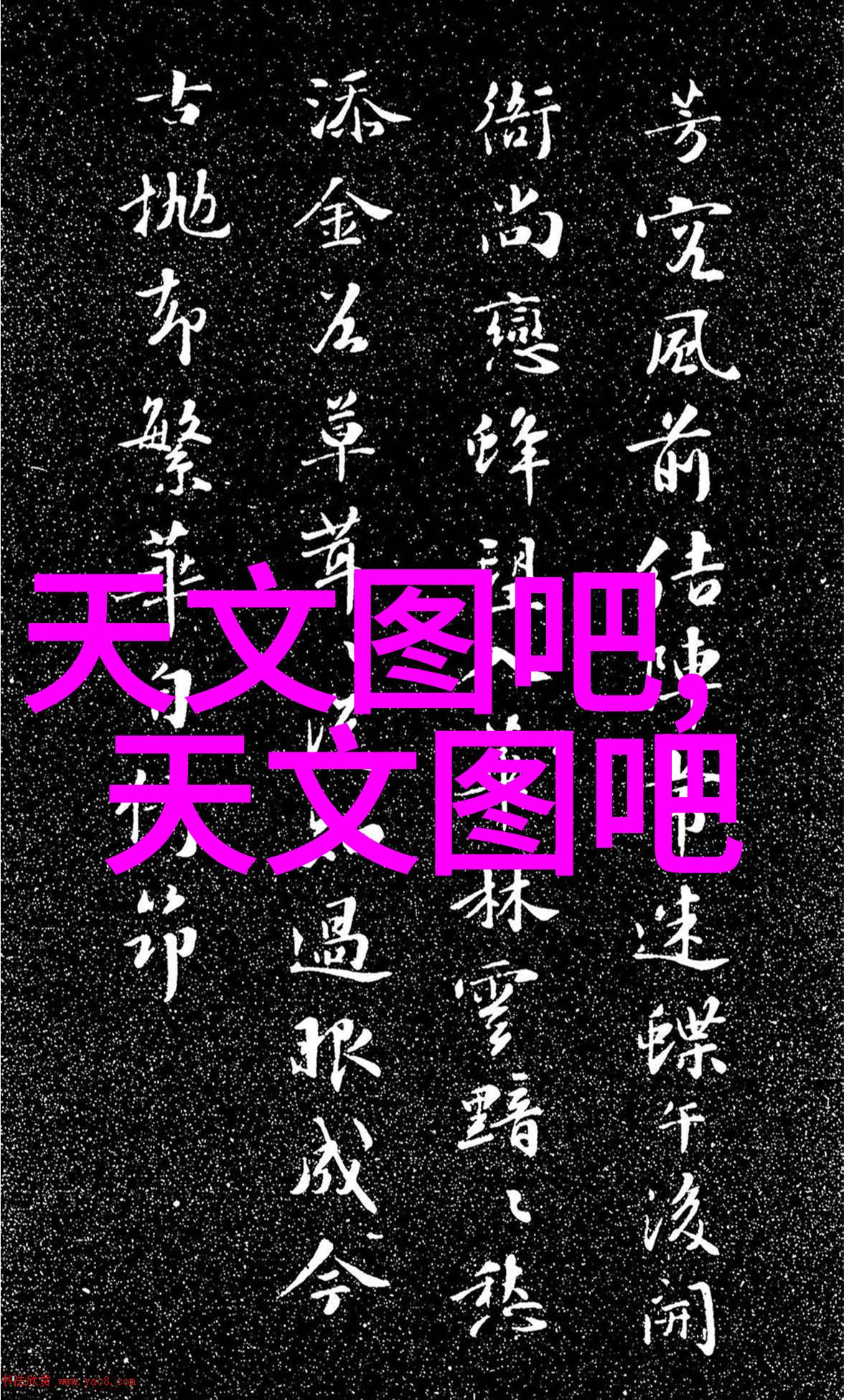 从拍到晒学摄影课变身社交媒体小达人