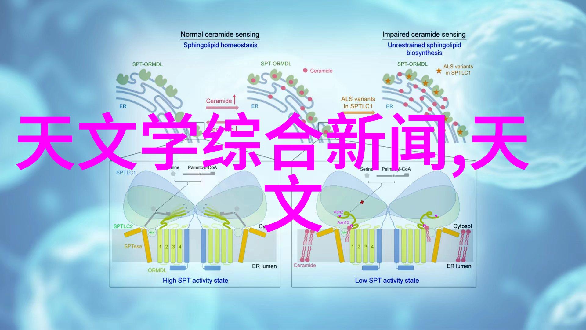 tds水质检测笔有用吗 - 探索水源纯净度tds水质检测笔的实用性与应用