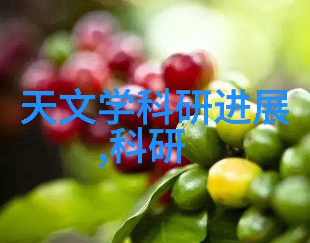 排水管材选择与应用概述当前市场上主流材料的比较研究