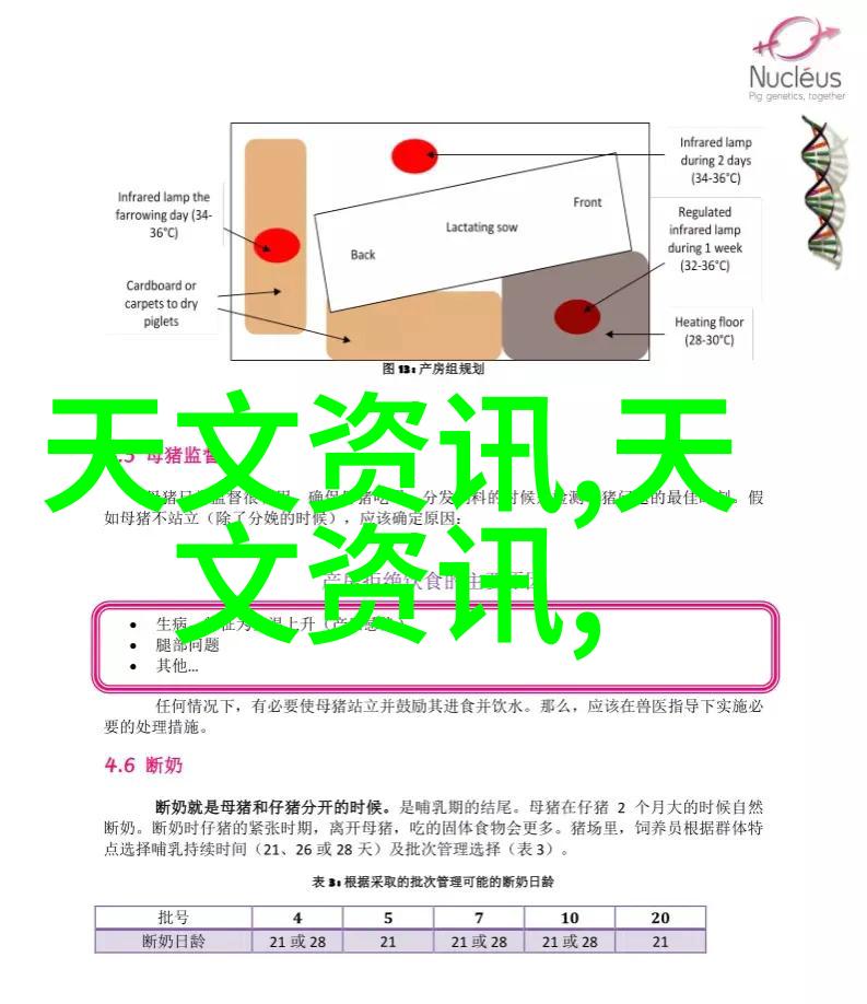 毛坯房装修先后顺序步骤指南