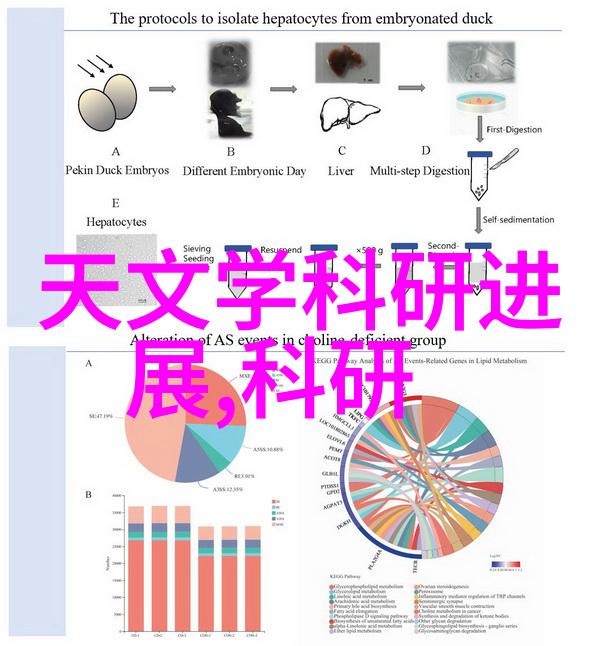 交换空间 - 空间翻转探索互换生活方式的艺术与科技