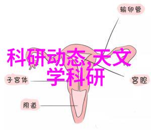 冰冷的泵动机器心脏的秘密