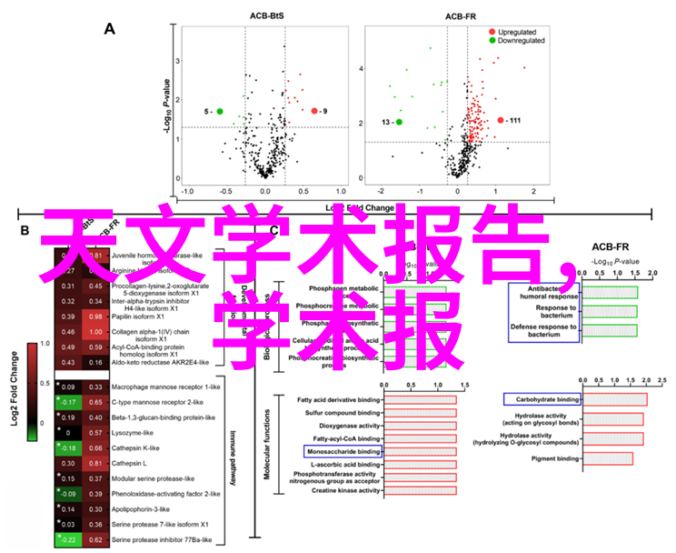 新篇章启幕探秘魔兽世界最新加入的英豪们