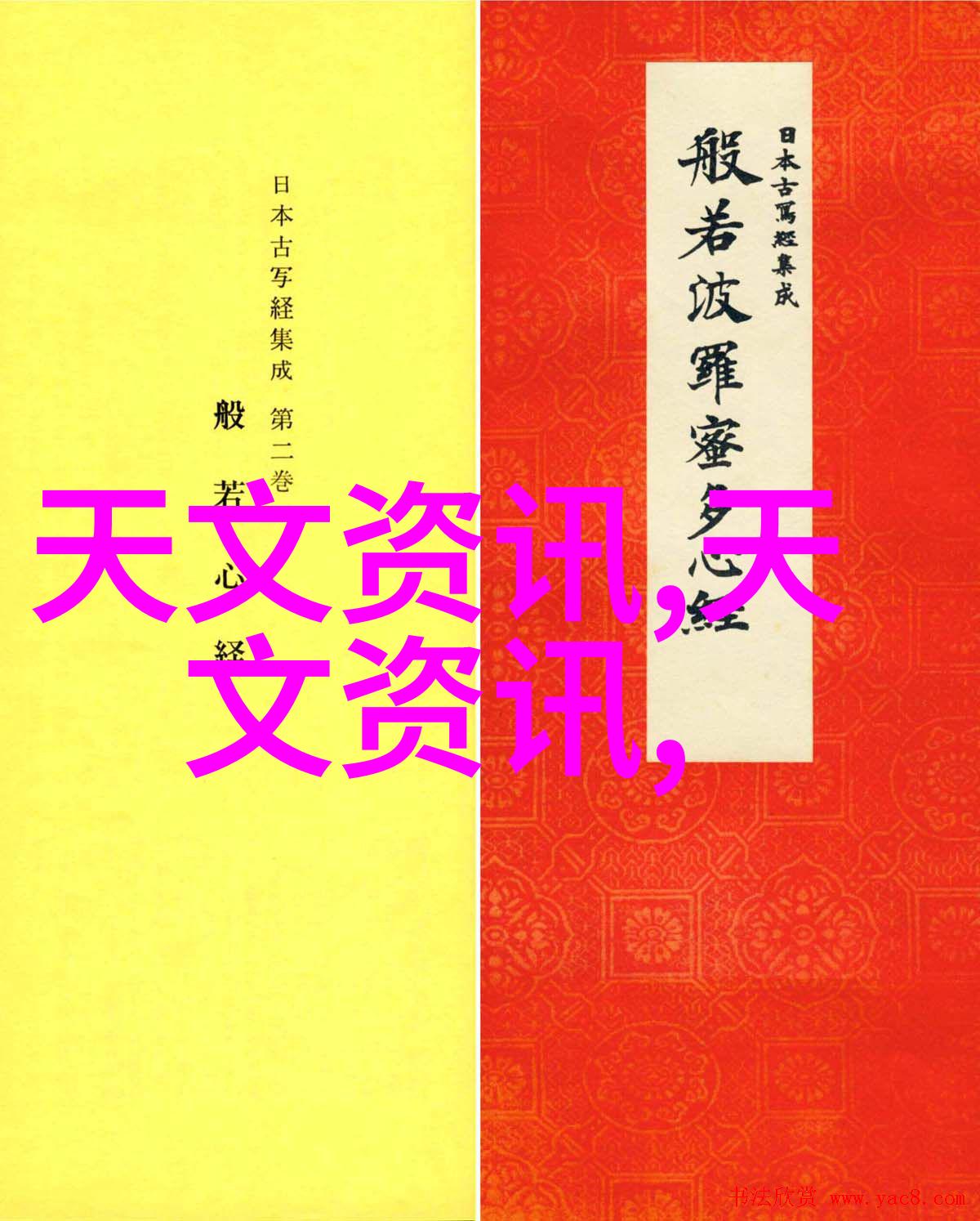 推特内部文件曝光揭秘社交平台算法与数据处理机制