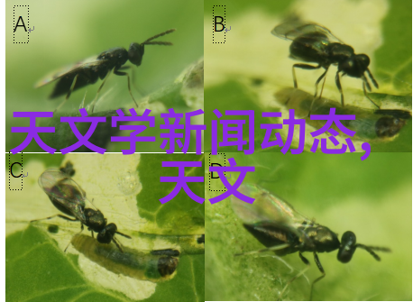 小型医院污水处理一体机节能环保的医疗污水解决方案