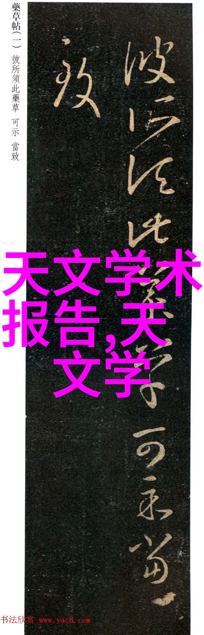 PCR仪原理与操作指南