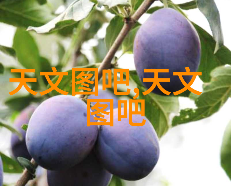 小吉我的忠实小伙伴