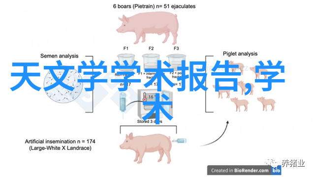 普通硅酸盐水泥-构筑坚固基石技术与应用概述