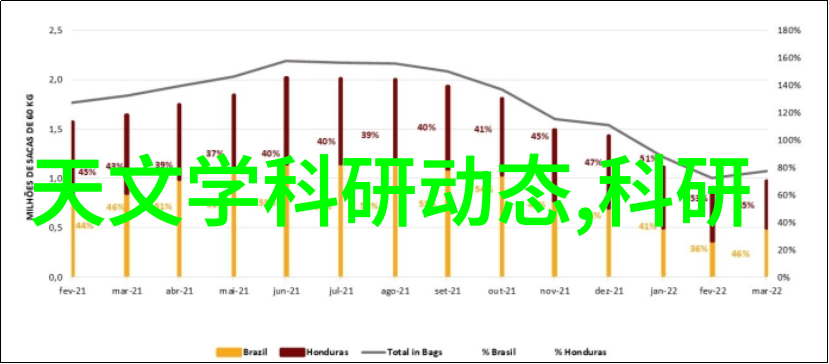 宠物摄影镜头下的友谊与欢笑