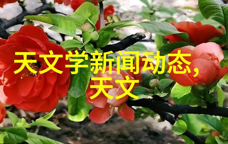 妮图网 - 探索妮图网数字时代的艺术与科技交融之地