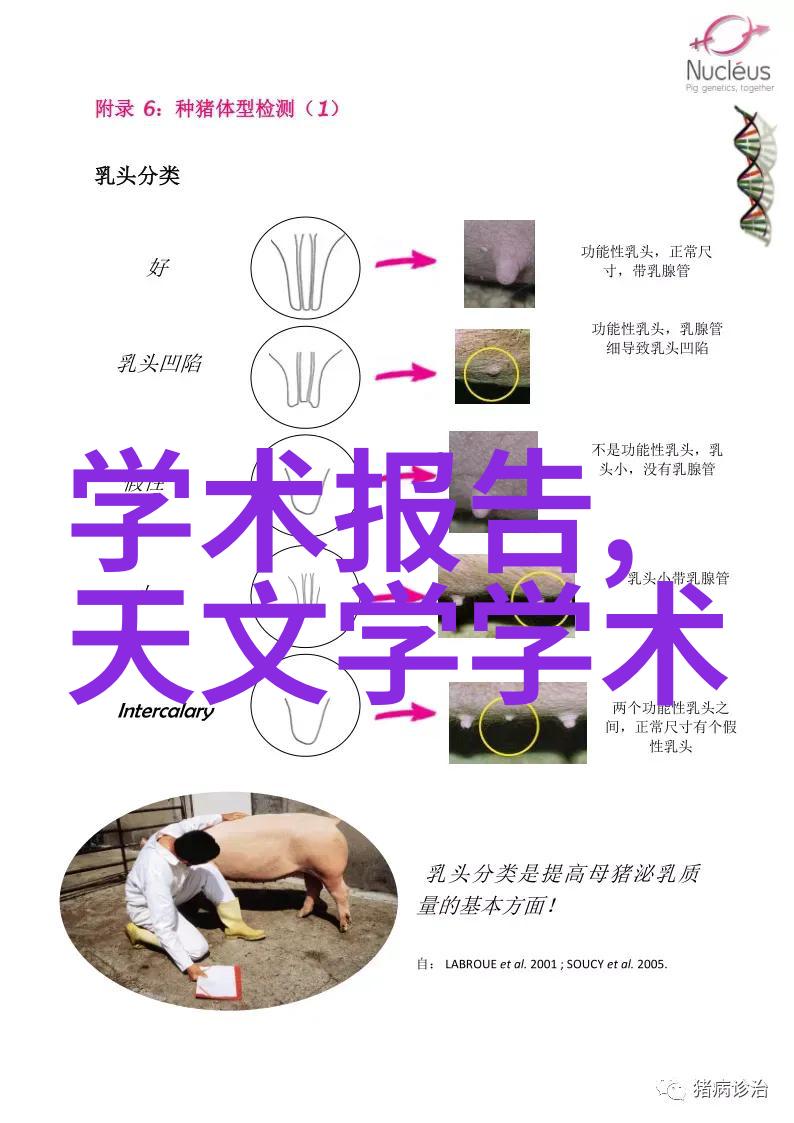 探索Poco摄影微距世界的奇妙之旅