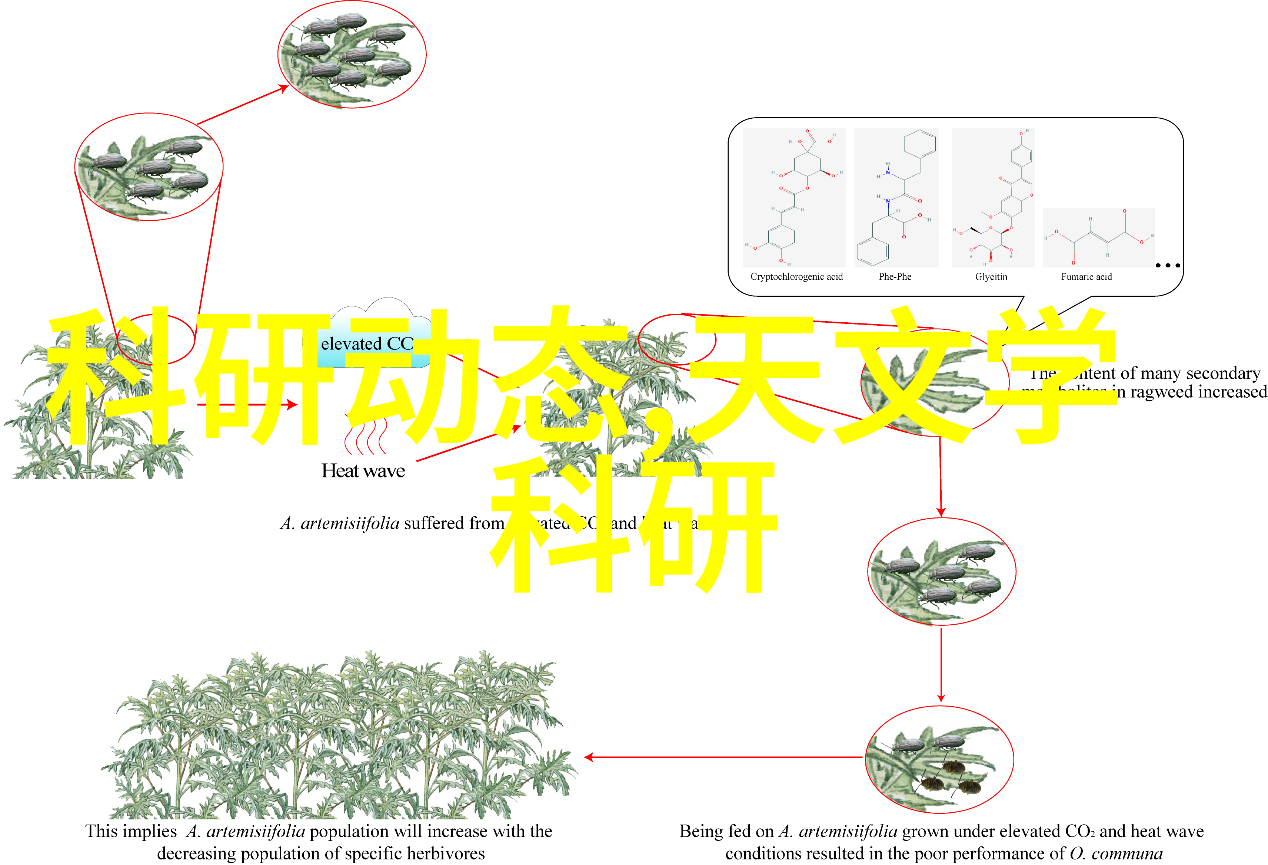 芯片制作流程详解从设计到封装的全过程