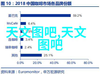 梦幻纱笼绚烂时刻的永恒回声