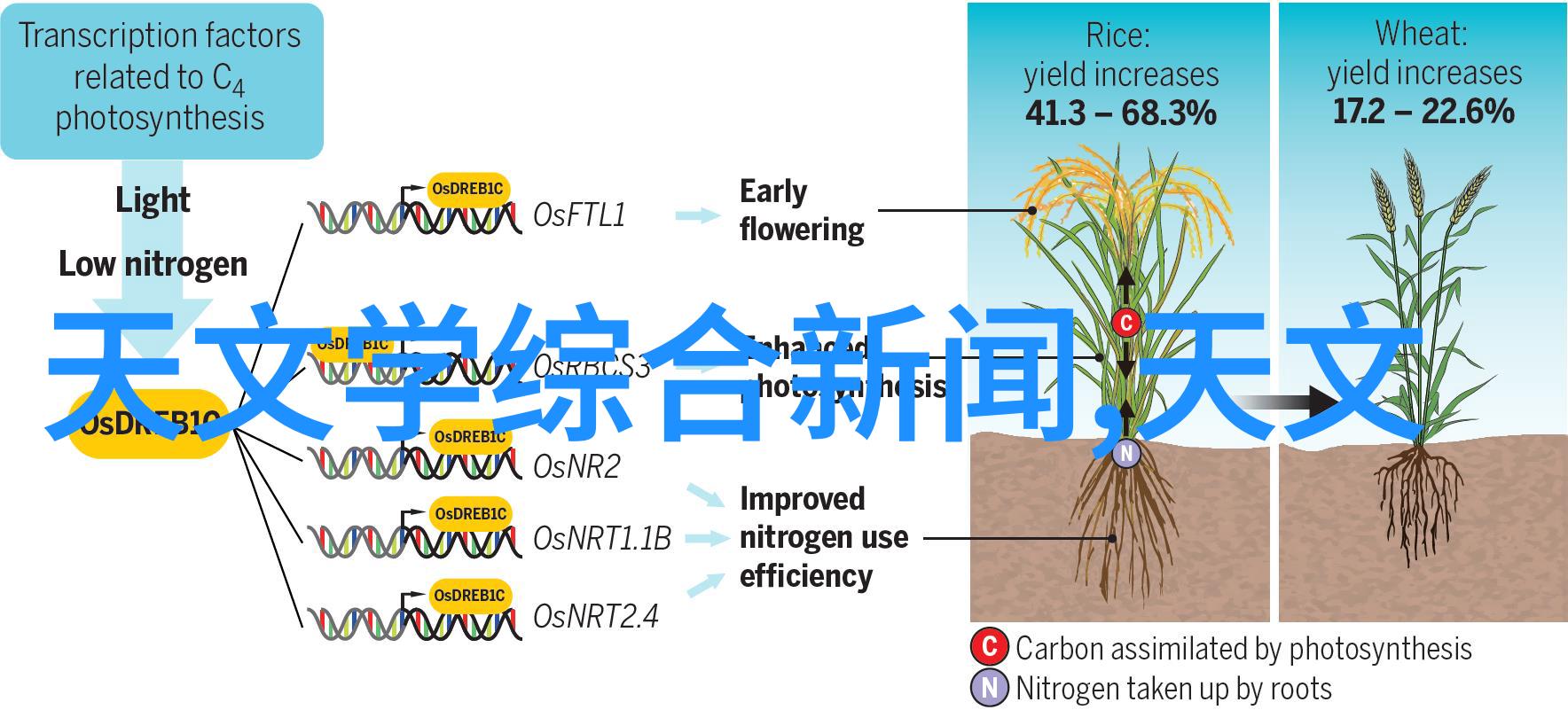 比较笨的可以学电工吗-智慧不限如何成为一名优秀的电工