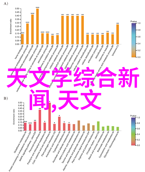 镜头背后的秘密摄像机如何捕捉到我们最真实的瞬间