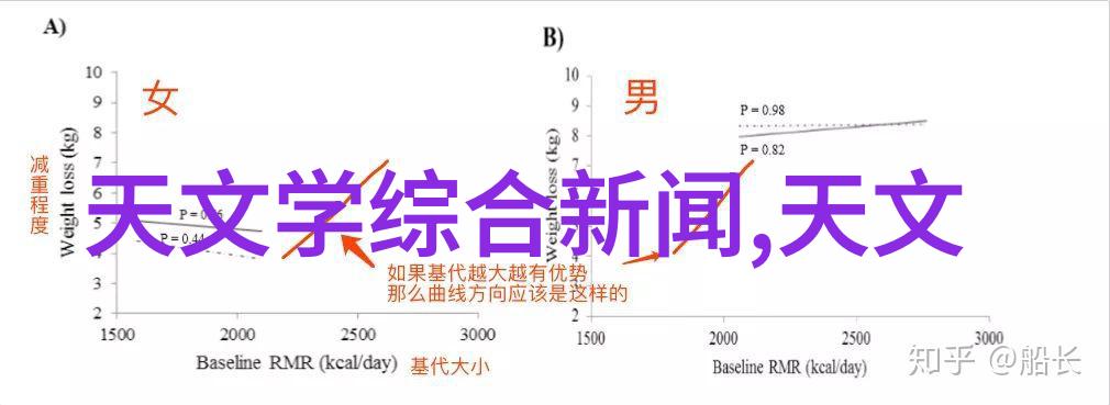 中式装修艺术的魅力与技巧