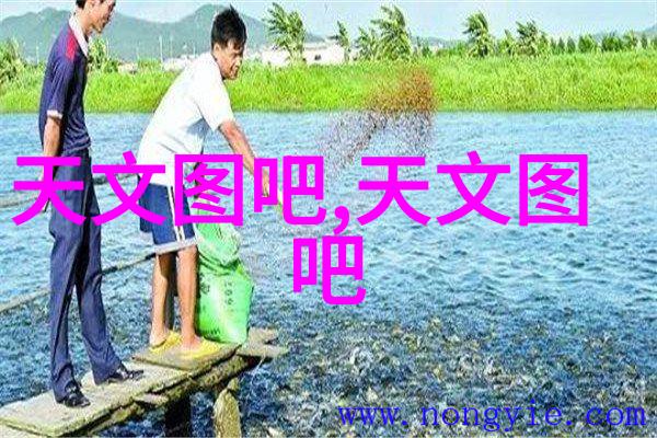 不锈钢矩鞍环填料标准-不锈钢矩形鞍型环填充物规范与应用