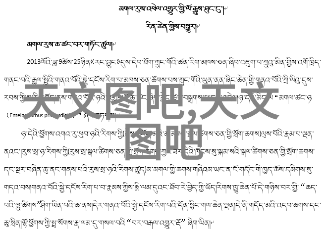 探索科技创新北京测试空间测评技术有限公司的发展历程