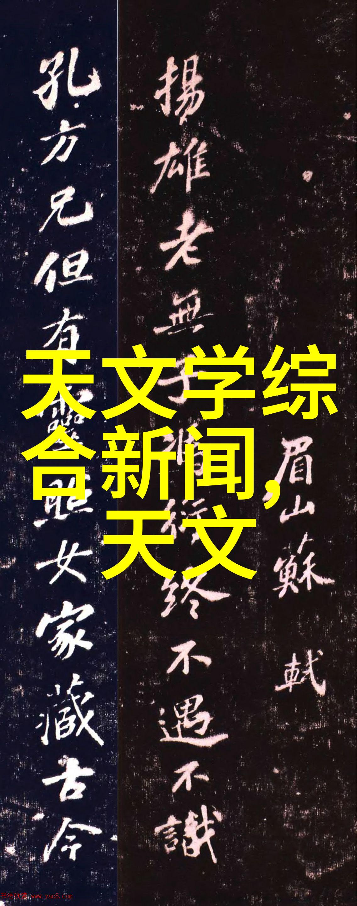 厨房小家电种类大全从搅拌机到烤箱解锁你的烹饪世界