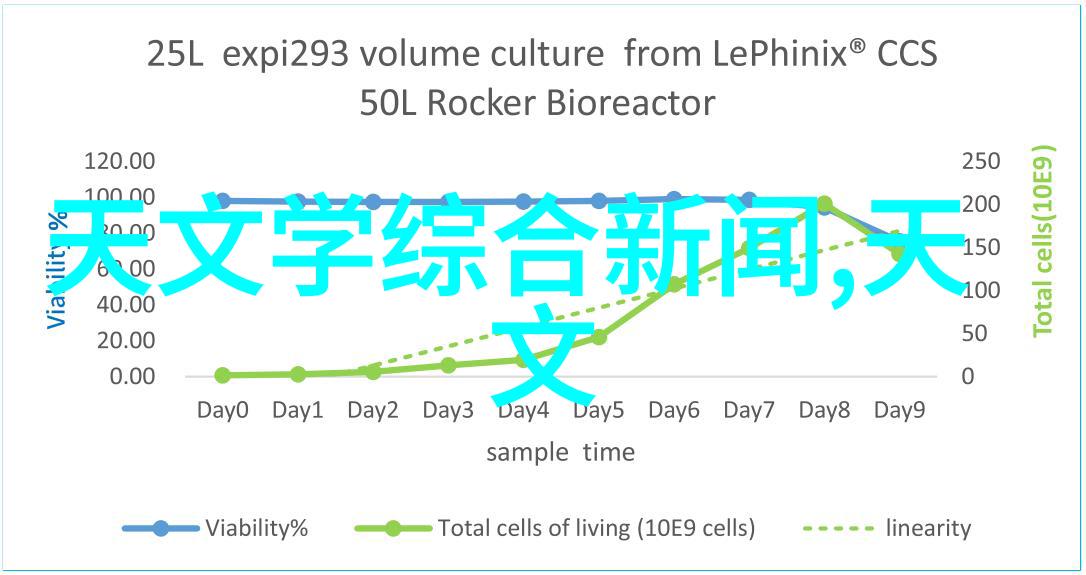 融入自然元素让客廳與廚房轉換成為宜居天堂設計師分享秘诀