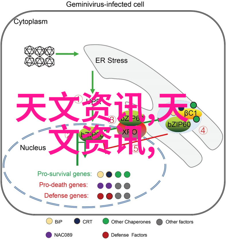 古色古香的家居装饰五斗柜的温馨回忆