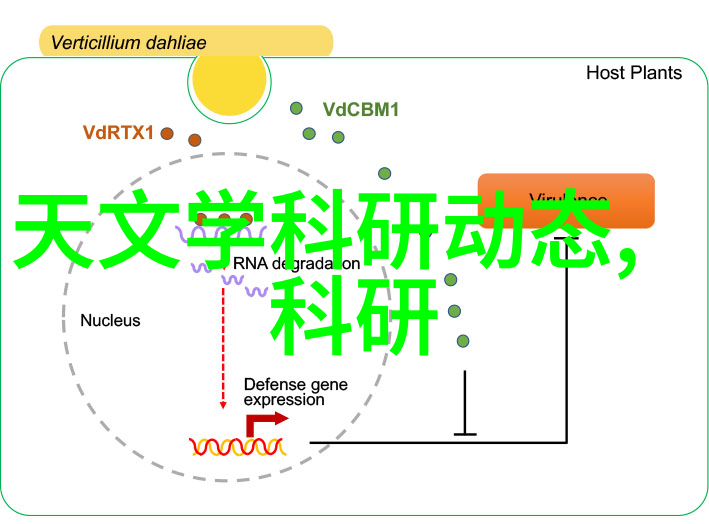 福州装修设计-福州风格追逐南方时尚的装修艺术