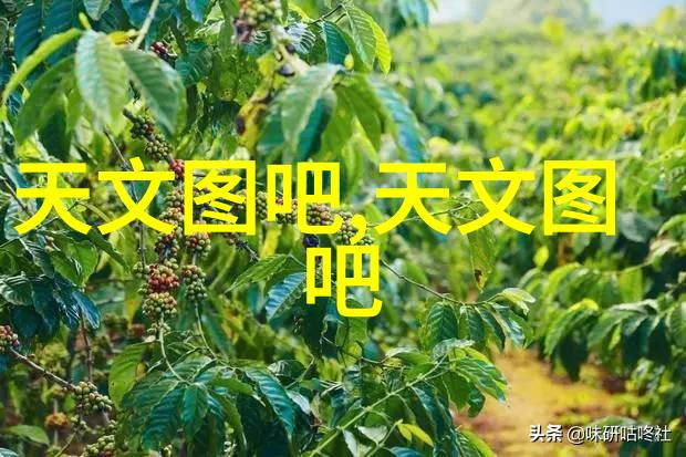 南充职业技术学院重庆市高等职业教育的典范