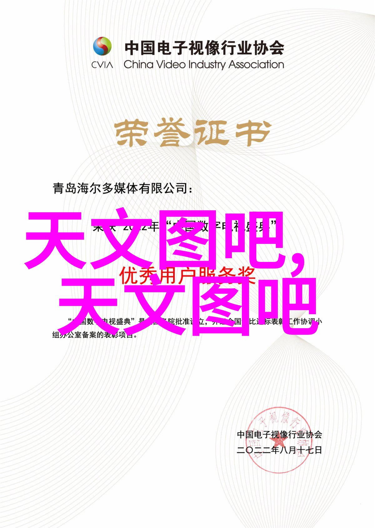 摄影器材名称大全专业相机镜头闪光灯平板托盘三脚架遮光罩高级镜头套装